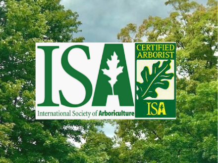 New ARborist