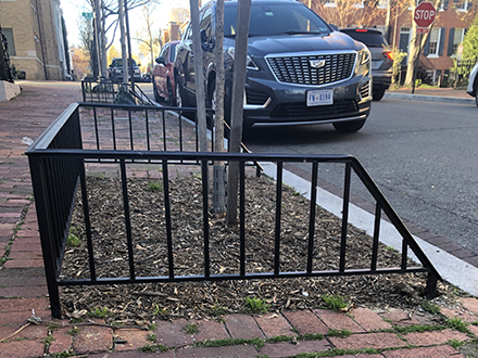 TFG tree fence